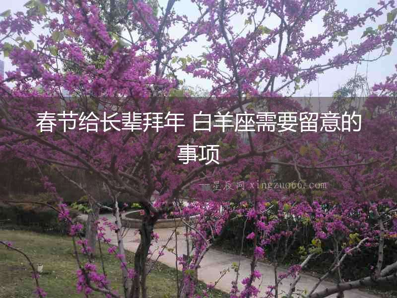春節給長輩拜年 白羊座需要留意的事項