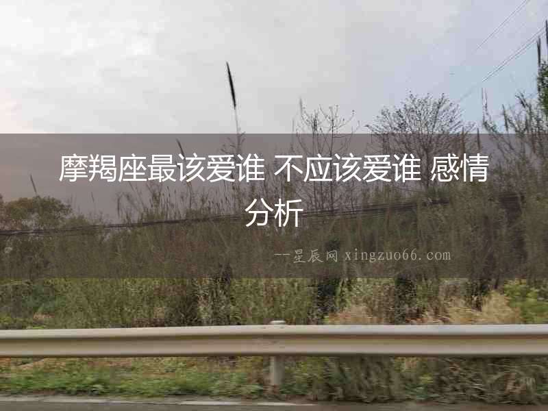 摩羯座最該愛誰 不應該愛誰 感情分析