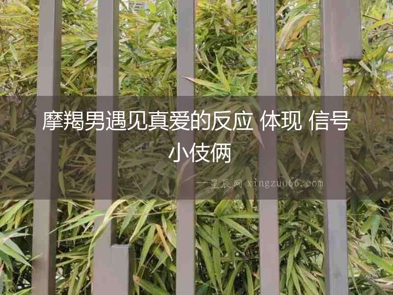 摩羯男遇見真愛的反應 體現 信號 小伎倆