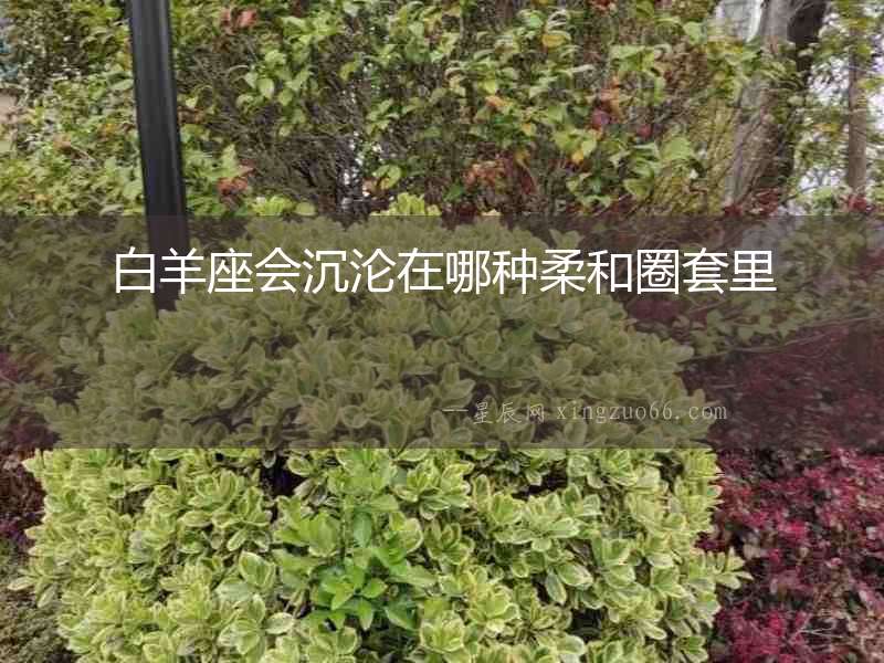白羊座會沉淪在哪種柔和圈套里