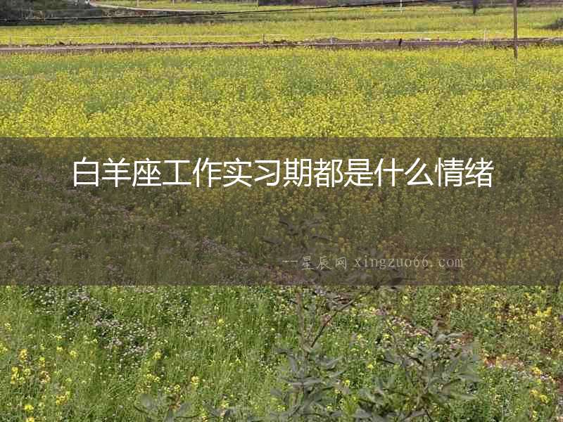 白羊座工作實習期都是什么情緒