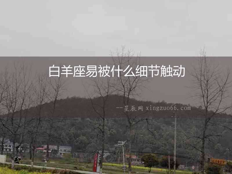 白羊座易被什么細節觸動