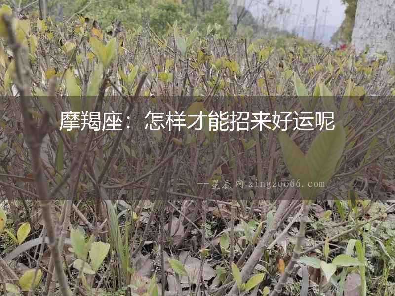 摩羯座：怎樣才能招來好運呢