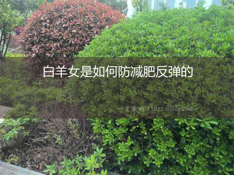 白羊女是如何防減肥反彈的