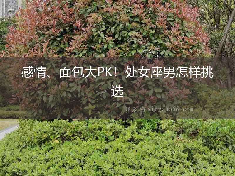 感情、面包大PK！處女座男怎樣挑選