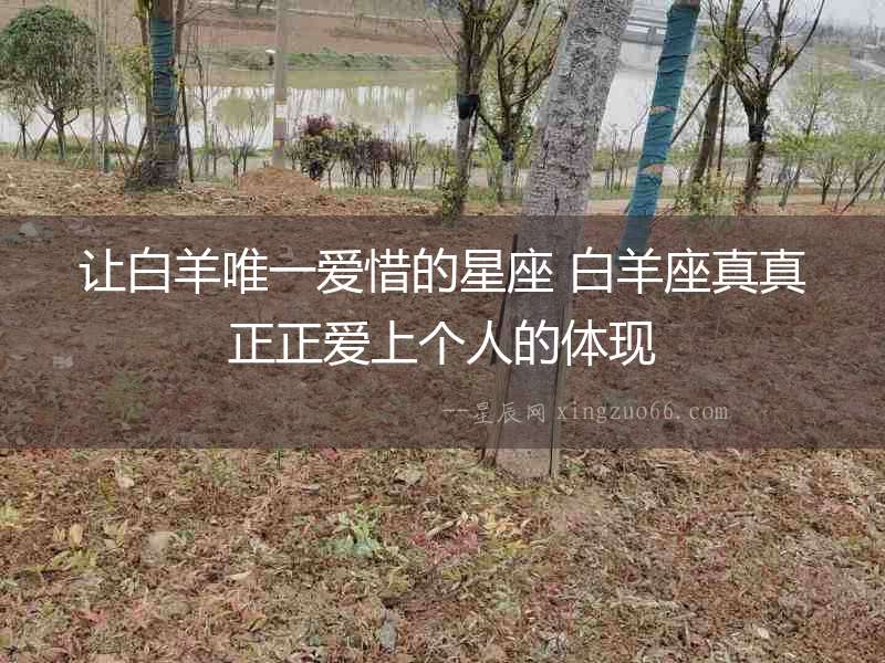 讓白羊唯一愛惜的星座 白羊座真真正正愛上個人的體現