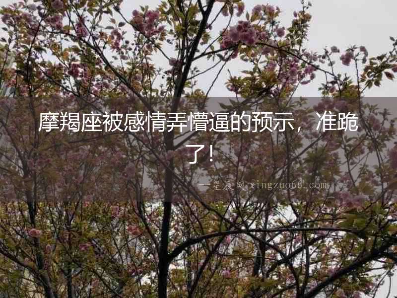 摩羯座被感情弄懵逼的預示，準跪了！