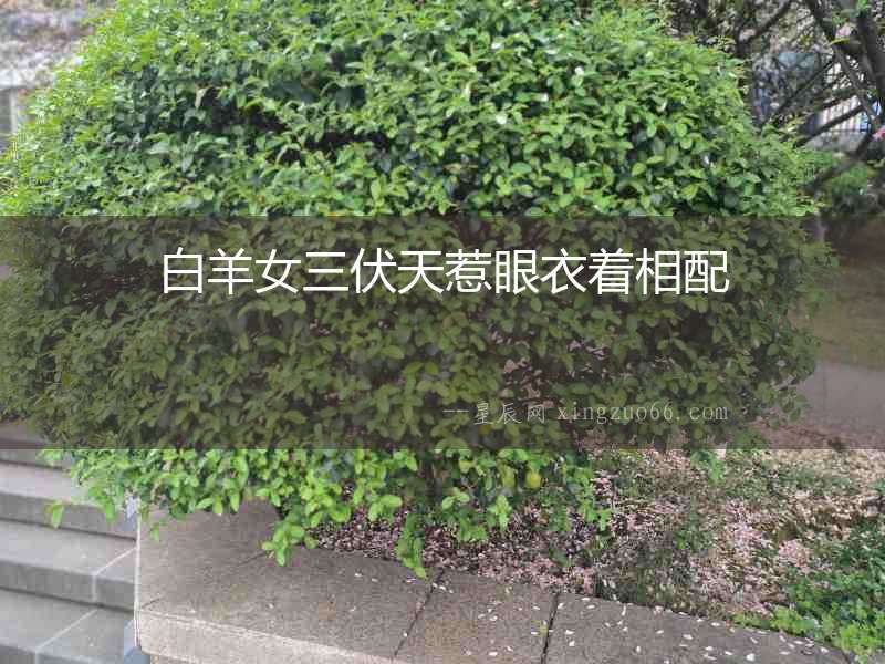 白羊女三伏天惹眼衣著相配