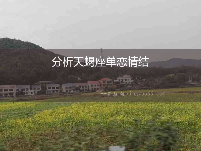 分析天蝎座單戀情結(jié)