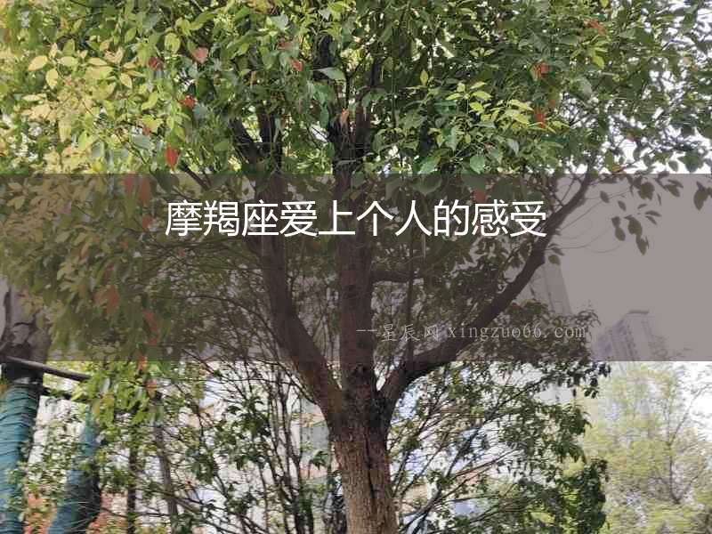 摩羯座愛上個人的感受