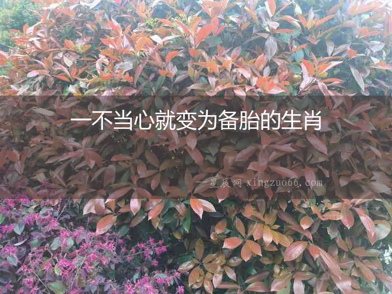 一不當(dāng)心就變?yōu)閭涮サ纳? alt=
