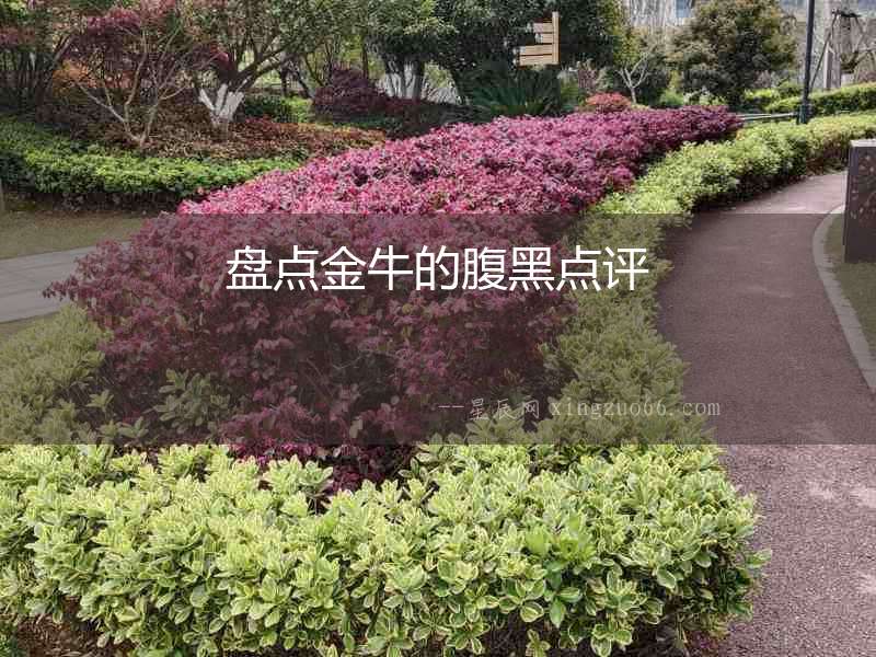 盤點金牛的腹黑點評