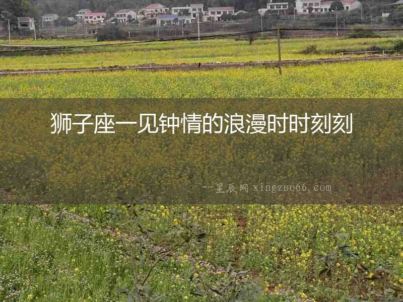 獅子座一見鐘情的浪漫時時刻刻