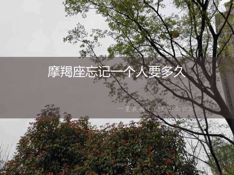 摩羯座忘記一個人要多久
