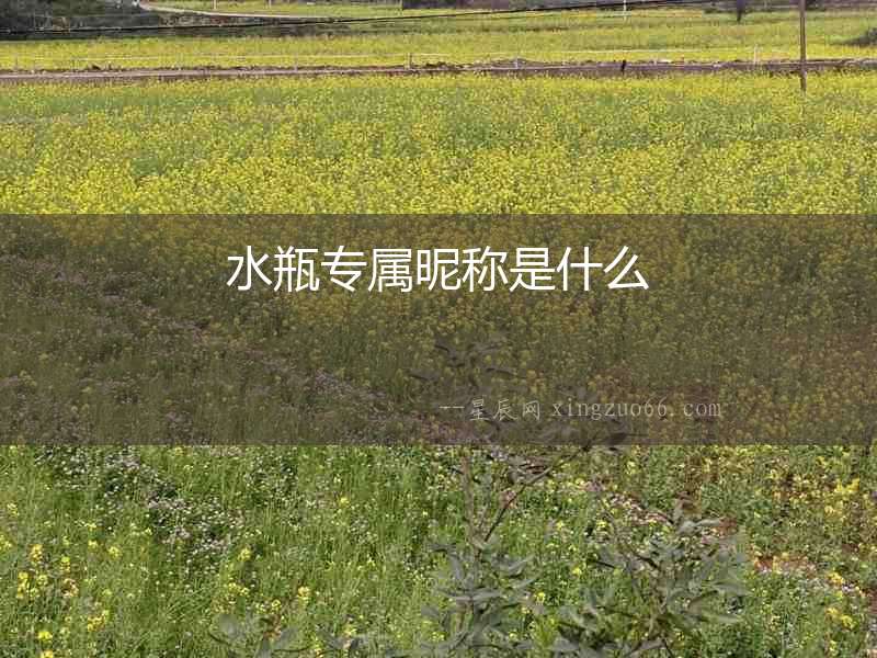 水瓶專屬昵稱是什么
