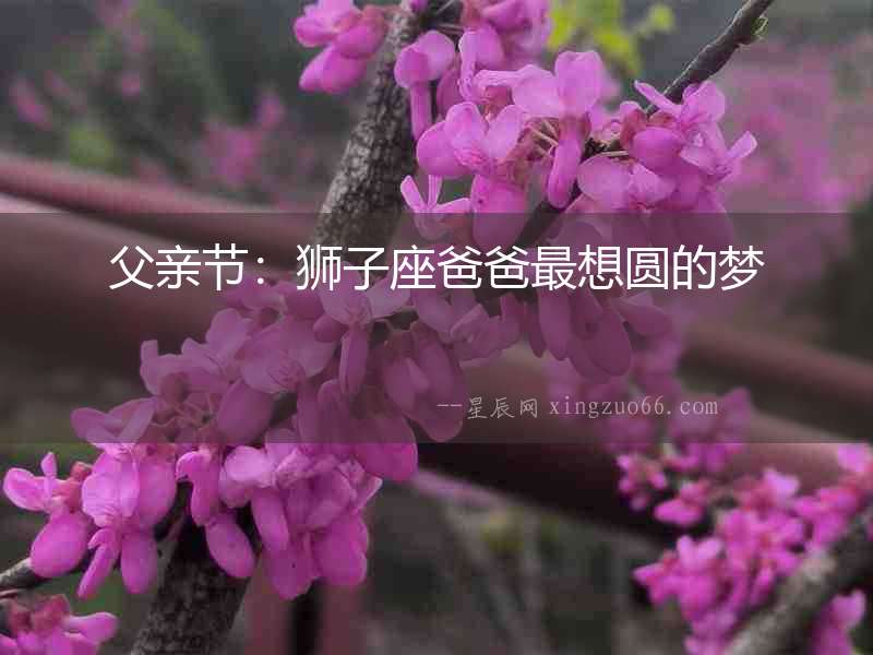 父親節：獅子座爸爸最想圓的夢
