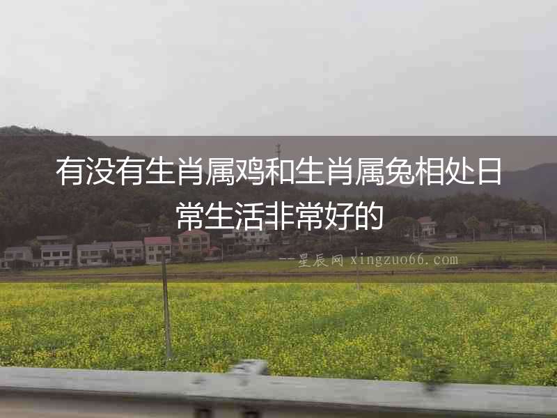 有沒有生肖屬雞和生肖屬兔相處日常生活非常好的