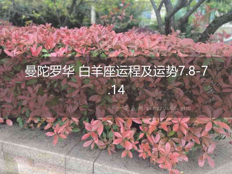 曼陀羅華 白羊座運程及運勢7.8-7.14