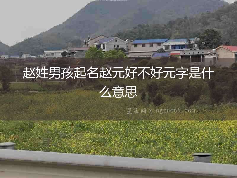 趙姓男孩起名趙元好不好元字是什么意思