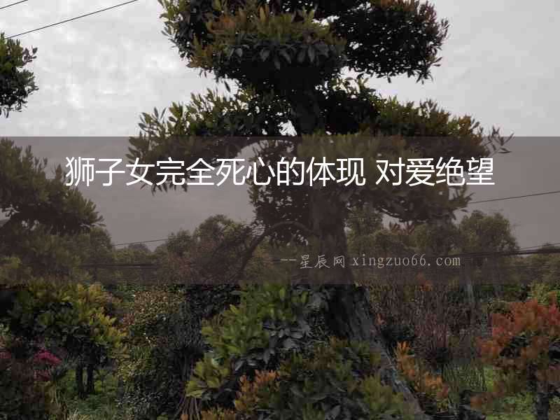 獅子女完全死心的體現 對愛絕望