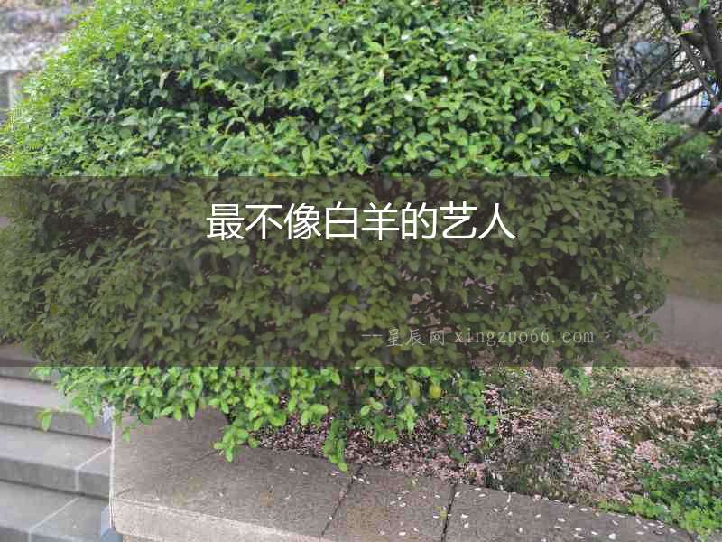 最不像白羊的藝人