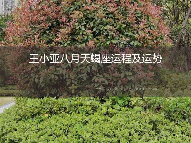 王小亞八月天蝎座運程及運勢