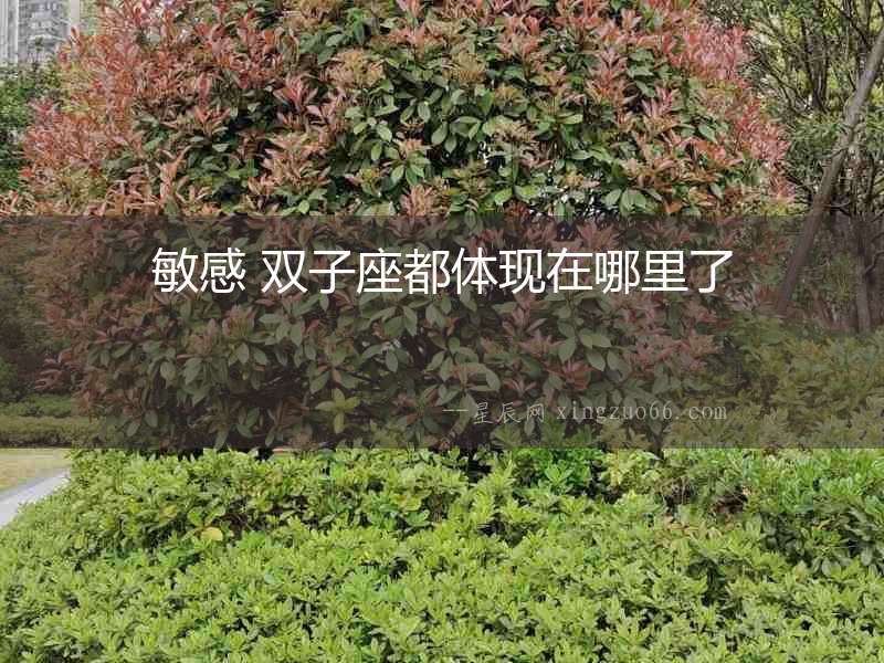 敏感 雙子座都體現在哪里了
