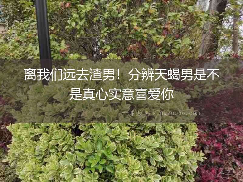離我們遠去渣男！分辨天蝎男是不是真心實意喜愛你
