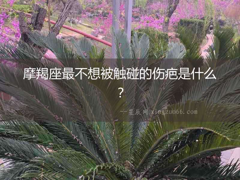 摩羯座最不想被觸碰的傷疤是什么？