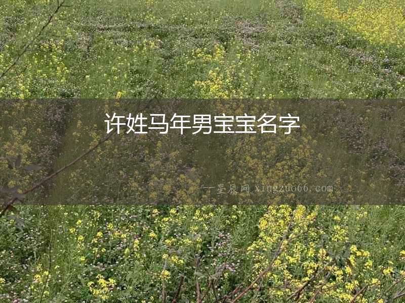 許姓馬年男寶寶名字