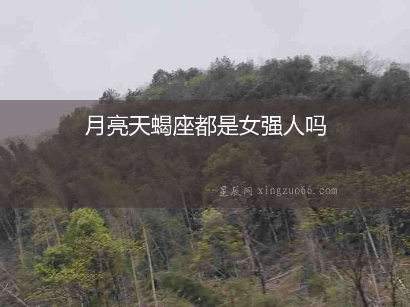 月亮天蝎座都是女強人嗎