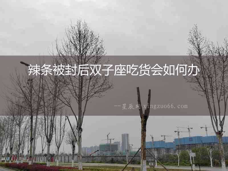 辣條被封后雙子座吃貨會如何辦
