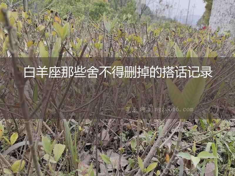 白羊座那些舍不得刪掉的搭話記錄