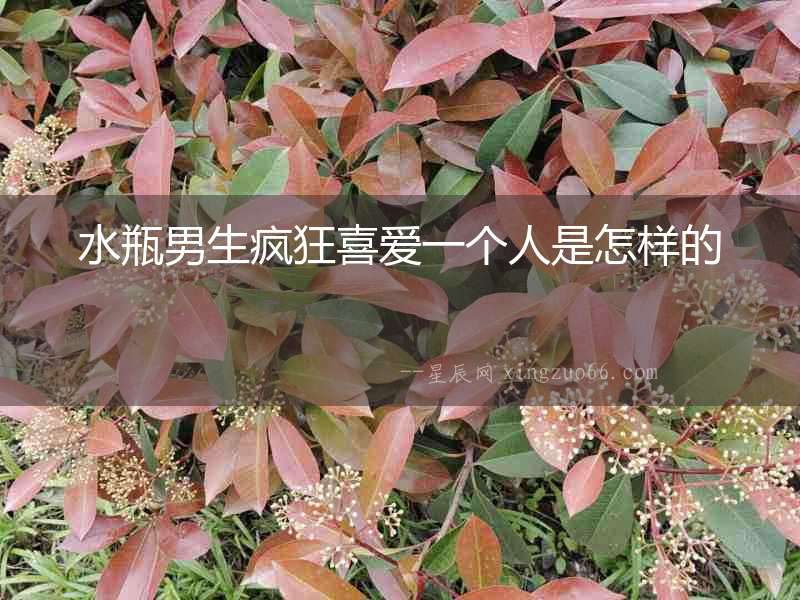 水瓶男生瘋狂喜愛一個人是怎樣的