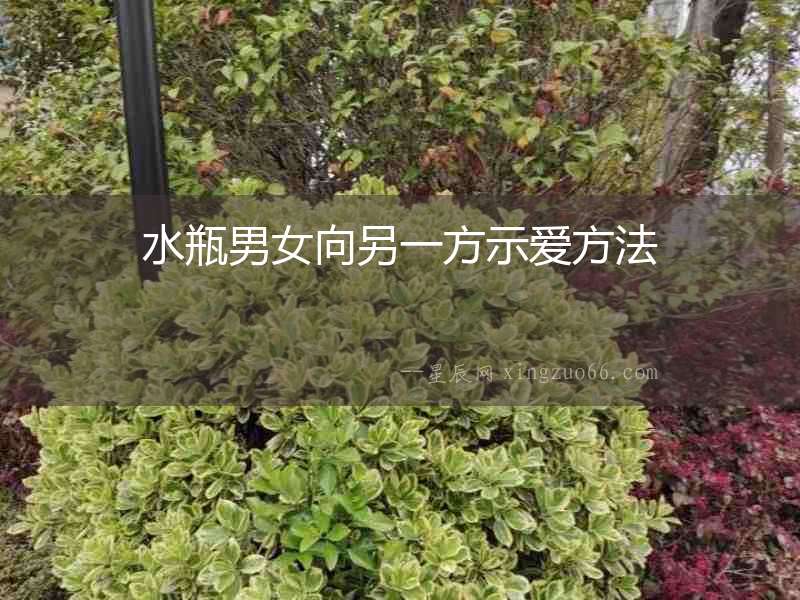 水瓶男女向另一方示愛方法
