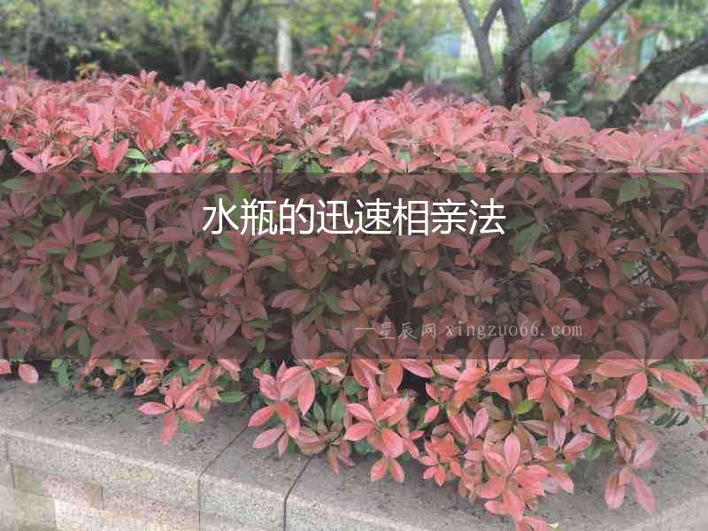 水瓶的迅速相親法