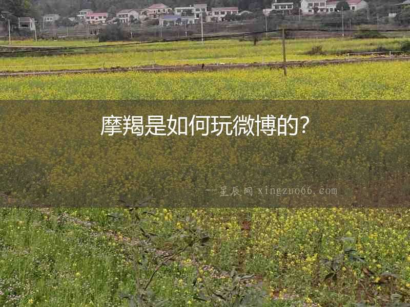 摩羯是如何玩微博的？