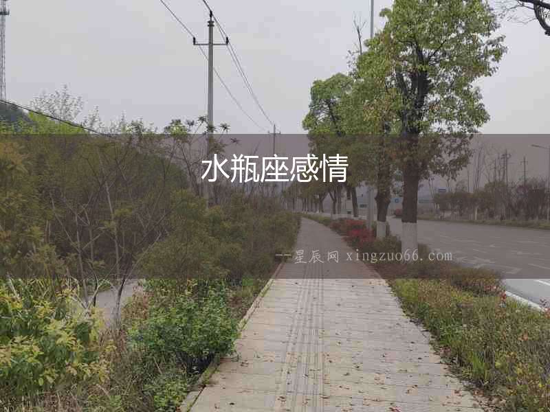 水瓶座感情