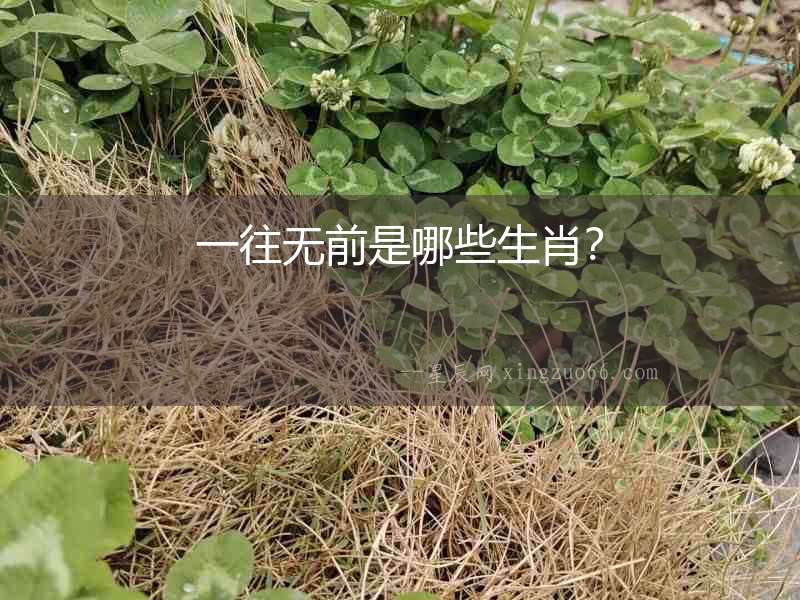 一往無前是哪些生肖？