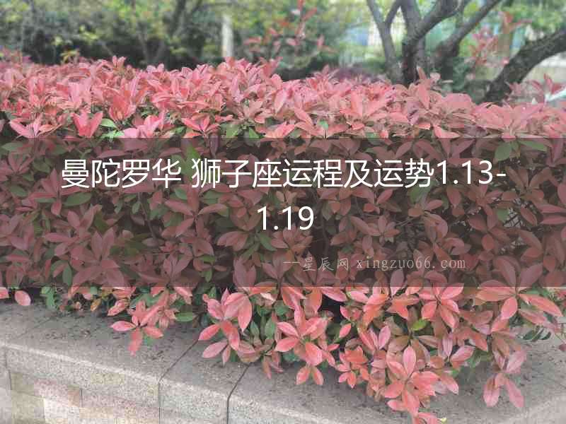 曼陀羅華 獅子座運程及運勢1.13-1.19
