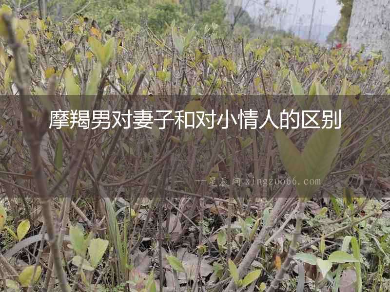 摩羯男對妻子和對小情人的區別