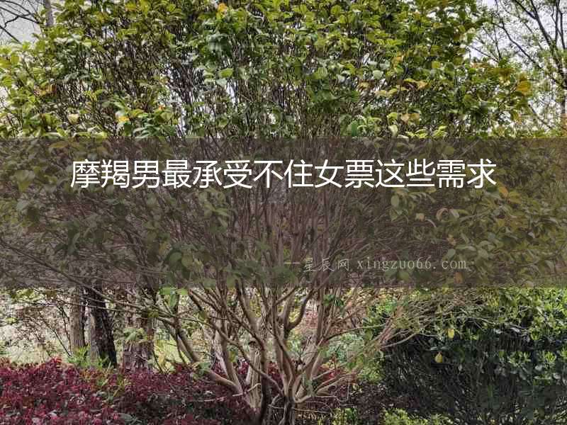 摩羯男最承受不住女票這些需求