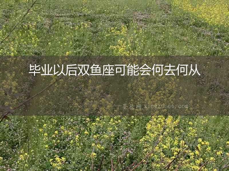 畢業以后雙魚座可能會何去何從