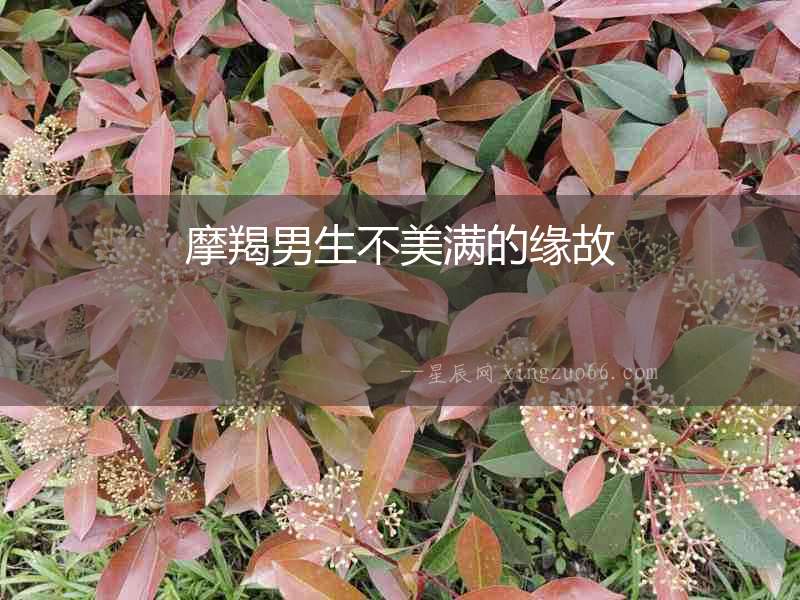 摩羯男生不美滿的緣故