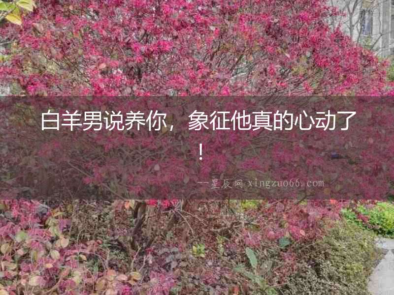 白羊男說養你，象征他真的心動了！