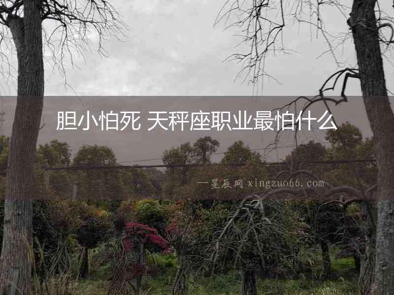 膽小怕死 天秤座職業最怕什么