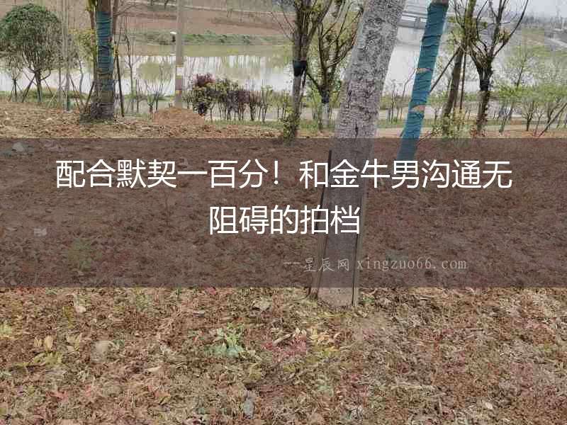 配合默契一百分！和金牛男溝通無阻礙的拍檔