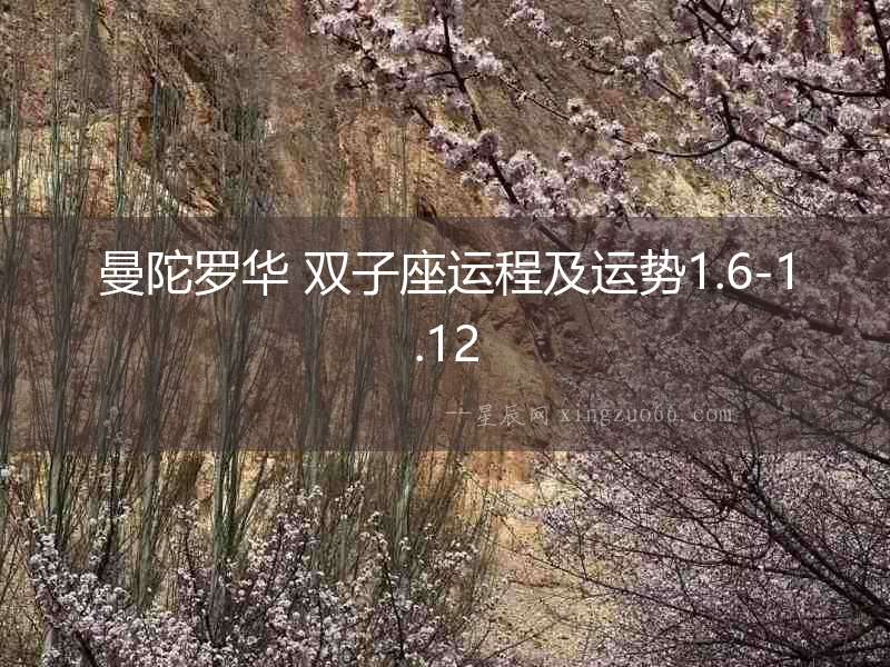 曼陀羅華 雙子座運(yùn)程及運(yùn)勢(shì)1.6-1.12