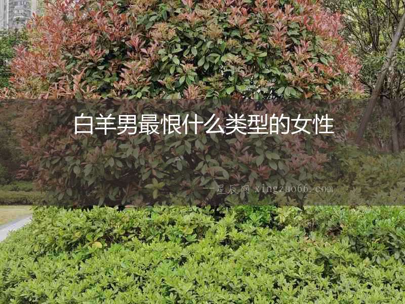 白羊男最恨什么類型的女性