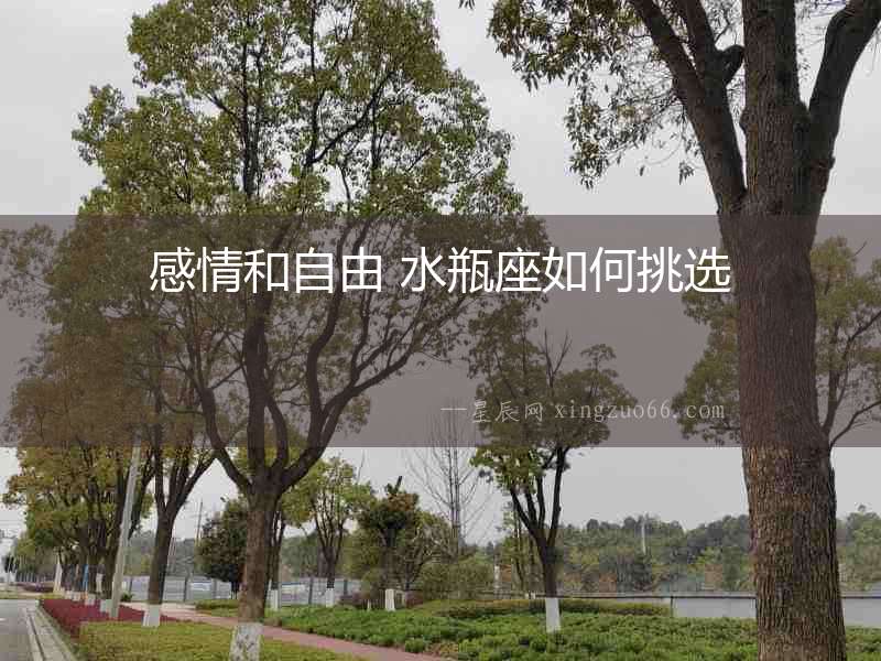 感情和自由 水瓶座如何挑選